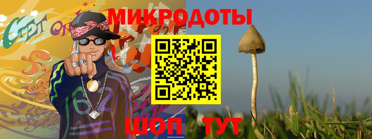 Псилоцибиновые грибы GOLDEN TEACHER  Галлюциногенные грибы прущие грибы  Вход с VPN  Зеленогорск 