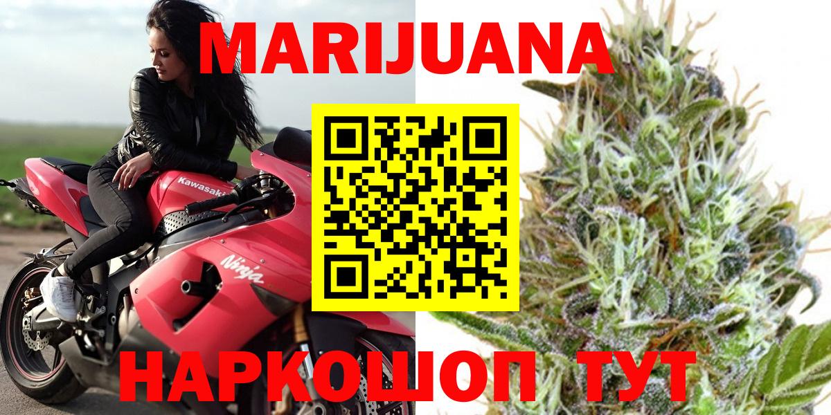 Конопля OG Kush Зеленогорск